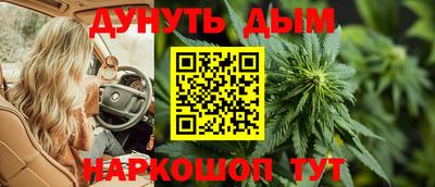 прущие грибы Лесосибирск