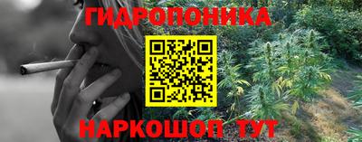 прущие грибы Лесосибирск