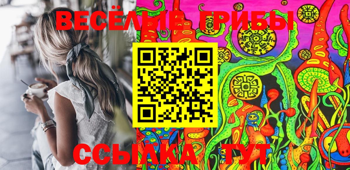 Галлюциногенные грибы Magic Shrooms  Вход с VPN  Ессентуки 